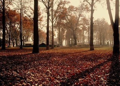 Autumn