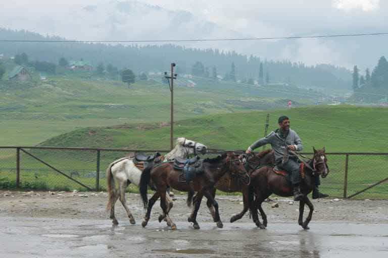 ‘Instruct institutions not to plan excursion to Gulmarg on weekends’: CEO GDA to DSEK