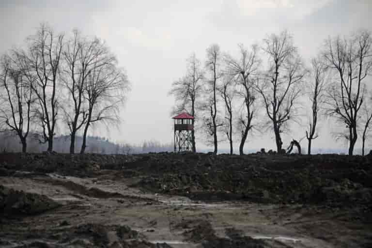 Forest Rights Act: J-K admin’s haste unsettles forest dwellers