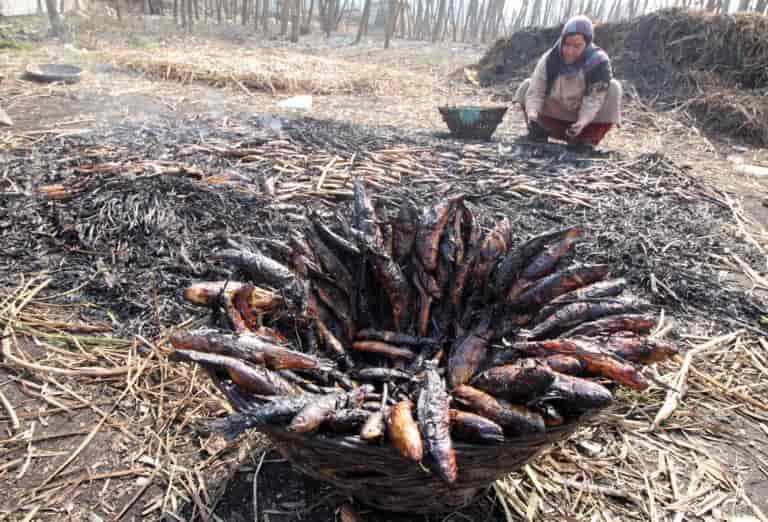 Kashmir’s winter delicacy: Smoked fish