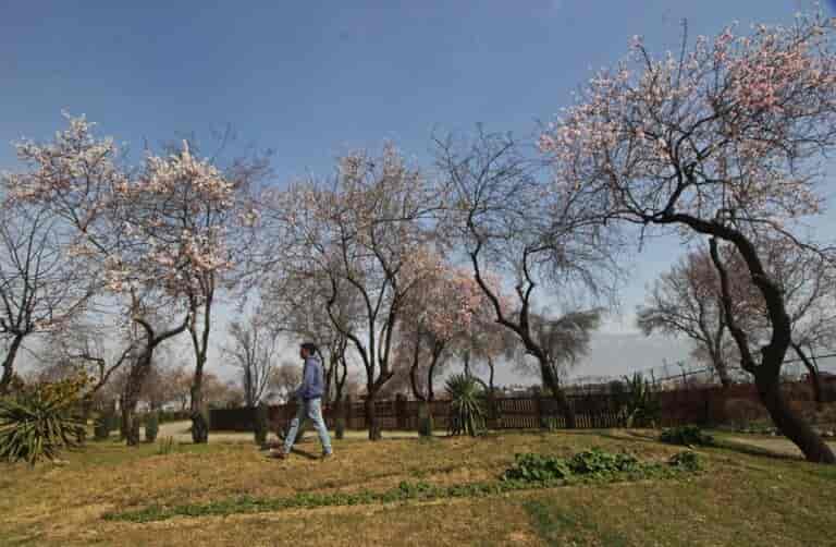 Night temperature continues to stay above normal across J-K