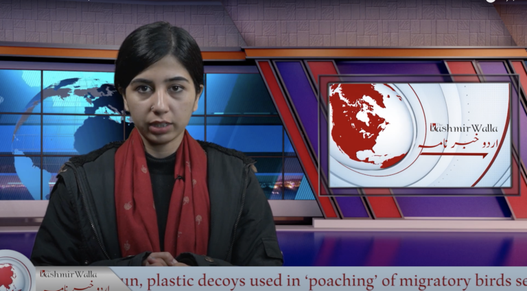 news bulletin