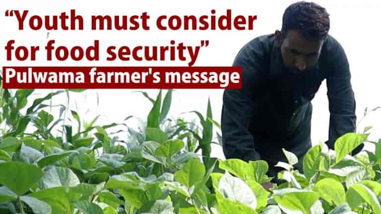 Watch | ‘Youth must consider for food security’ Pulwama farmer’s message