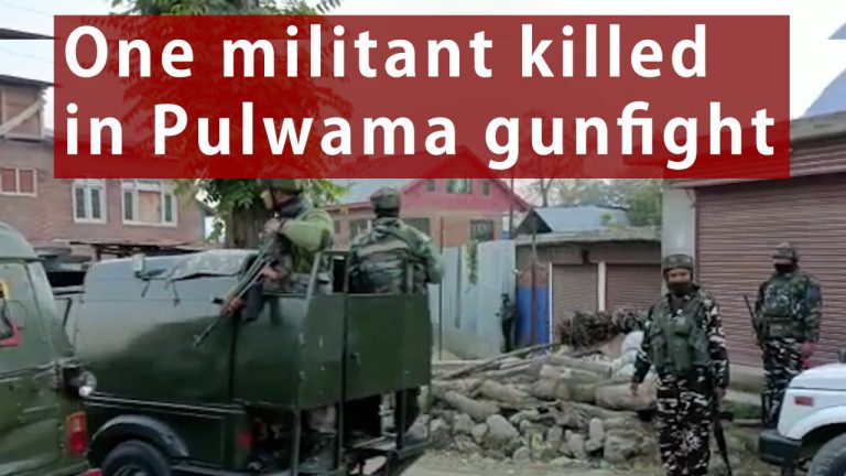 Watch | One militant killed in Pulwama gunfight