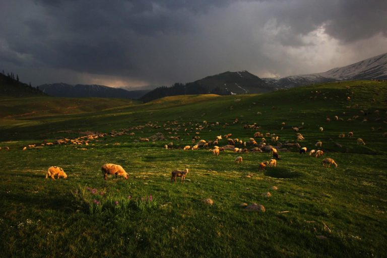 MeT issues ‘orange’ warning for ‘isolated heavy rain, lightning’ in J-K