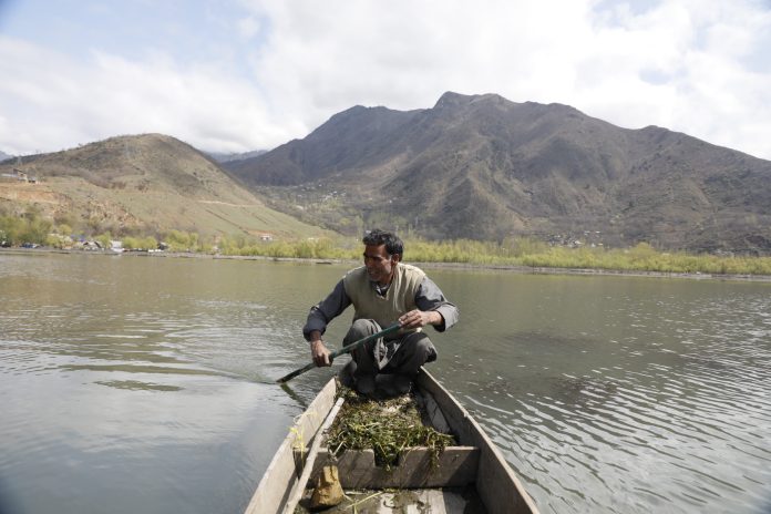 Wular Lake, kashmir wular, wular fisherman