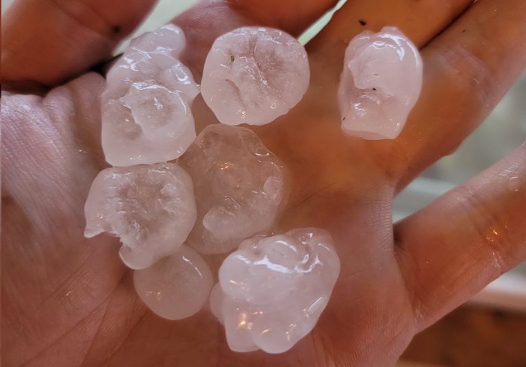 Horticulture department Kashmir issues advisory for hailstorm affected orchards