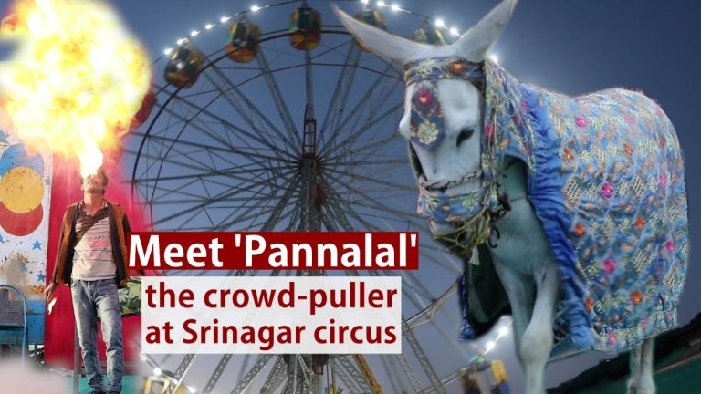 Watch | Meet ‘Pannalal’: the crowd-puller at Srinagar circus