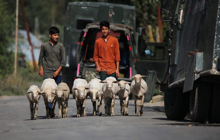 Temp increases in J-K amid dry weather forecast