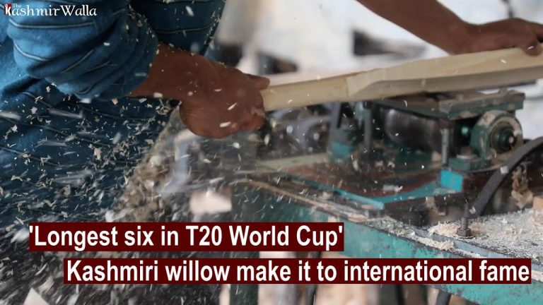 Watch | ‘Longest six in T20 World Cup’: Kashmiri willow makes it to international fame