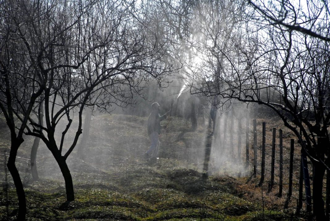 Kashmir climate change, kashmir farmers