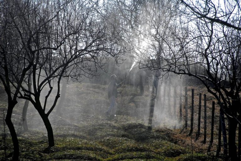 Kashmir climate change, kashmir farmers